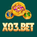 x03 bet