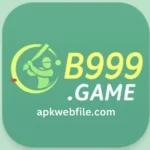 B999 Download