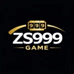 ZS999